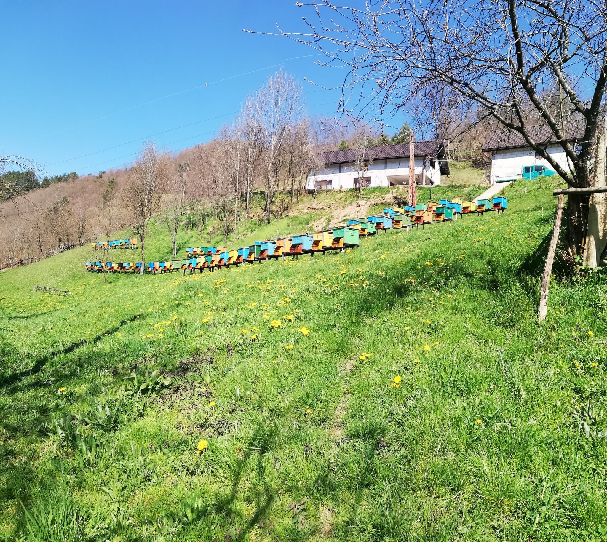 Stupină și peisaj natural