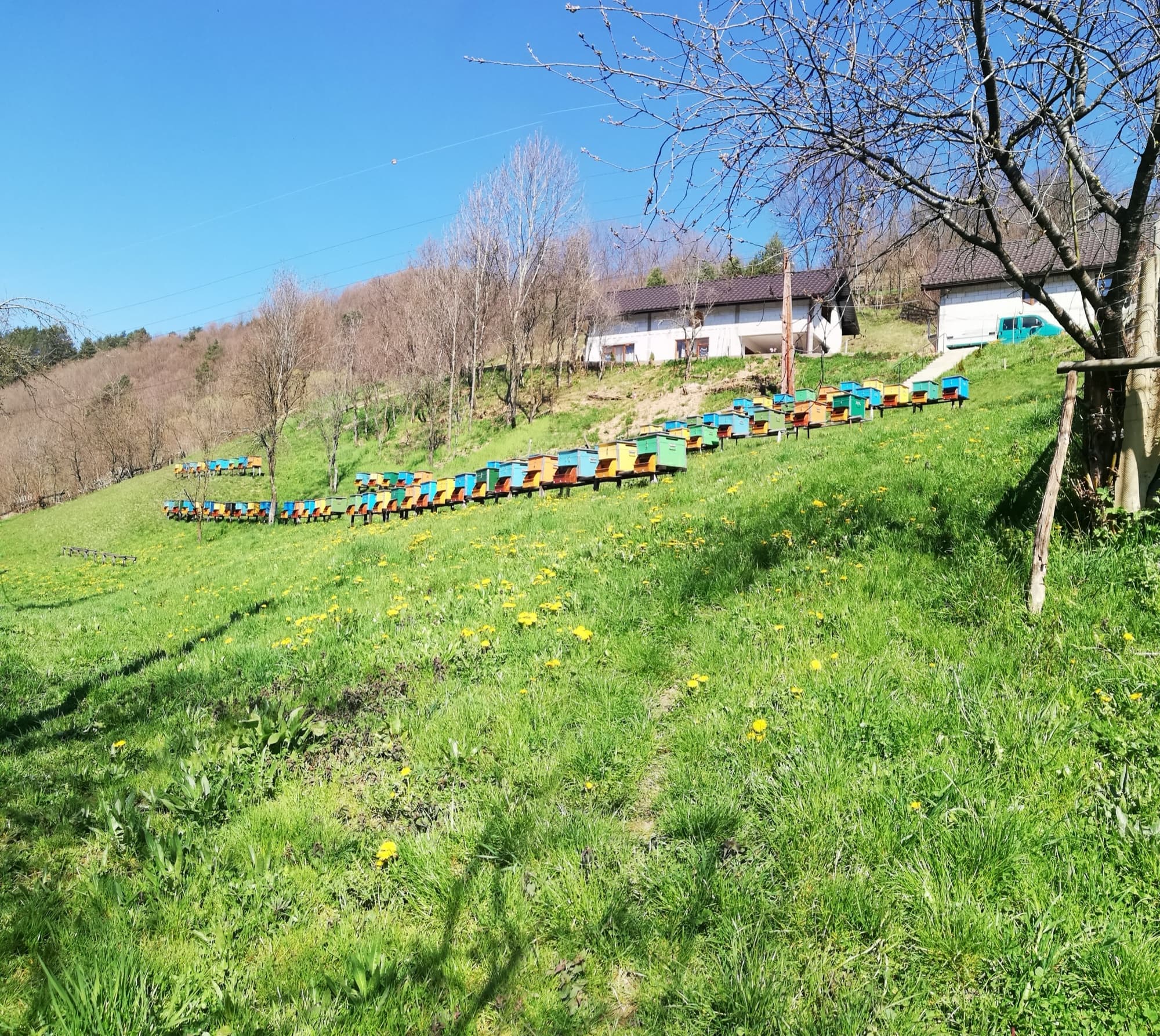Stupină și peisaj natural